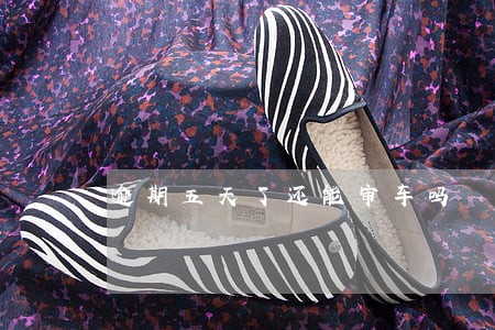 逾期五天了还能审车吗 逾期五天了还能审车吗