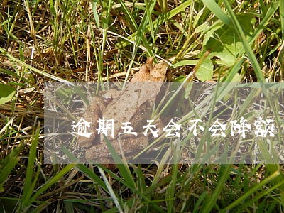逾期五天会不会降额 逾期五天会不会降额