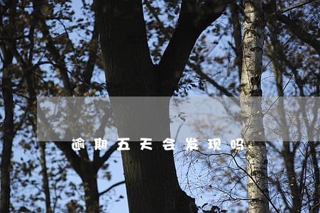 逾期五天会发现吗 逾期五天会发现吗