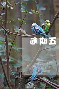 逾期五天会封卡么 逾期五天会封卡么