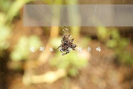 逾期五天会封卡吗 逾期五天会封卡吗
