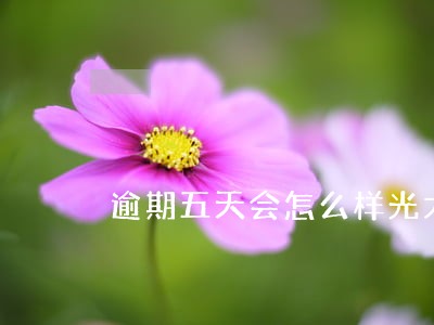 逾期五天会怎么样光大 逾期五天会怎么样光大