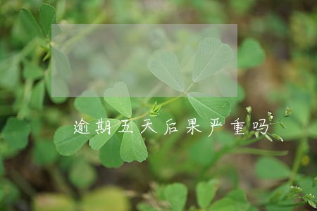 逾期五天后果严重吗