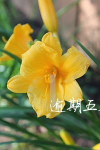 逾期五天多少天能正常使用 逾期五天多少天能正常使用