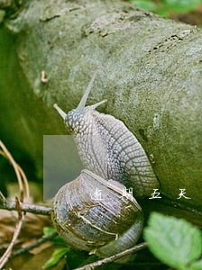 逾期五天影响大吗 逾期五天影响大吗
