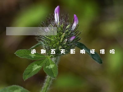 逾期五天影响征信吗 逾期五天影响征信吗