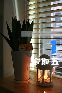逾期五天怎么上征信 逾期五天怎么上征信
