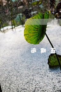 逾期五天才发现怎么办