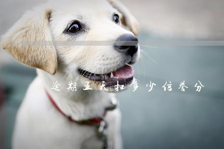 逾期五天扣多少信誉分 逾期五天扣多少信誉分