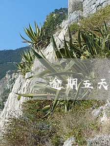 逾期五天把钱还了影响贷款吗 逾期五天把钱还了影响贷款吗