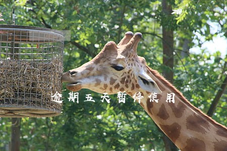 逾期五天暂停使用 逾期五天暂停使用