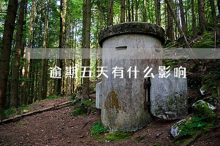 逾期五天有什么影响 逾期五天有什么影响