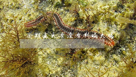 逾期五天有没有影响大吗 逾期五天有没有影响大吗