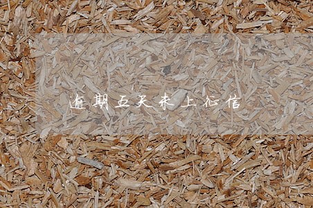 逾期五天未上征信 逾期五天未上征信