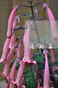 逾期五天未还款影响征信怎么办 逾期五天未还款影响征信怎么办