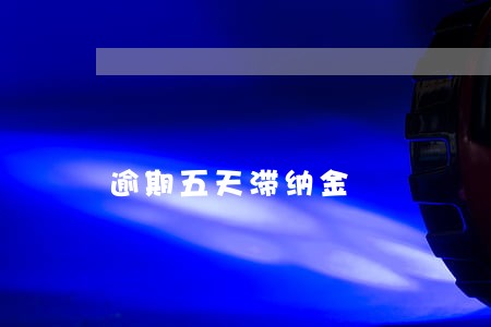 逾期五天滞纳金 逾期五天滞纳金