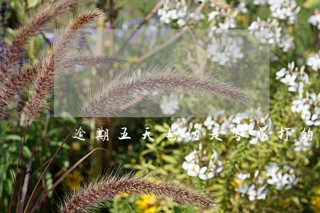 逾期五天电话是客服打的么 逾期五天电话是客服打的么