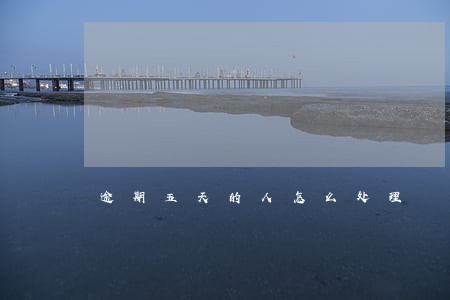 逾期五天的人怎么处理 逾期五天的人怎么处理