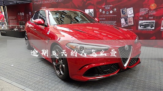 逾期五天的人怎么查