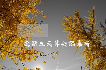 逾期五天算会记录吗