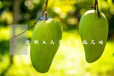 逾期五天算恶意拖欠吗