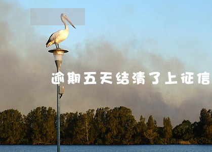 逾期五天结清了上征信吗 逾期五天结清了上征信吗