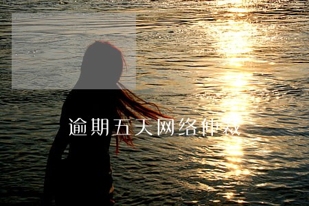 逾期五天网络仲裁
