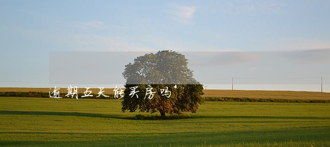 逾期五天能买房吗