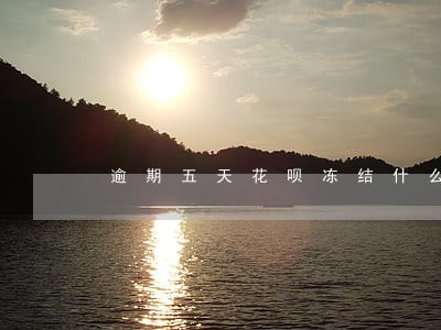 逾期五天花呗冻结什么时候能用