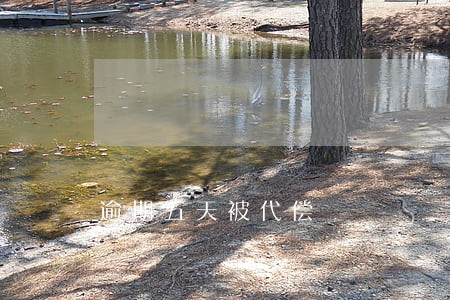 逾期五天被代偿 逾期五天被代偿