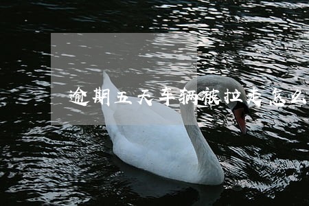 逾期五天车辆被拉走怎么办 逾期五天车辆被拉走怎么办