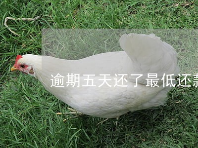 逾期五天还了最低还款 逾期五天还了最低还款