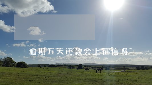 逾期五天还款会上征信吗 逾期五天还款会上征信吗