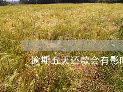 逾期五天还款会有影响吗 逾期五天还款会有影响吗