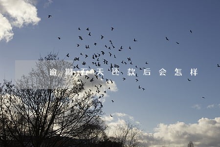 逾期五天还款后会怎样