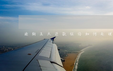 逾期五天还款征信如何处理 逾期五天还款征信如何处理