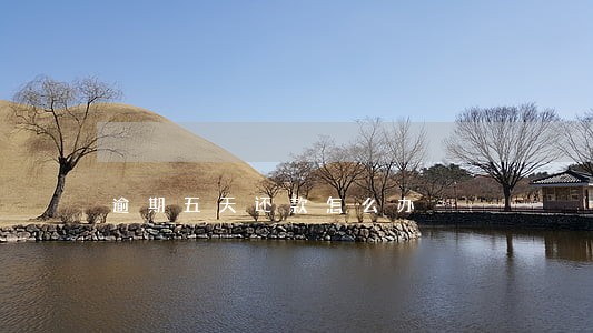 逾期五天还款怎么办