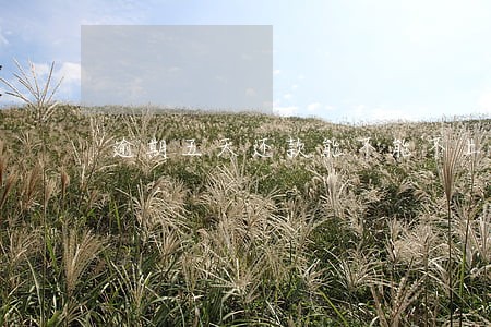逾期五天还款能不能不上征信 逾期五天还款能不能不上征信