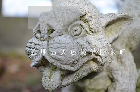 逾期五天还能借回来吗 逾期五天还能借回来吗