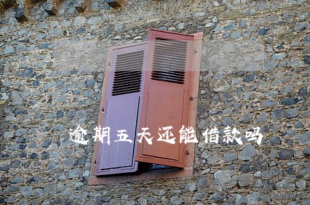 逾期五天还能借款吗 逾期五天还能借款吗