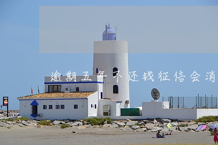 逾期五年不还钱征信会消除吗