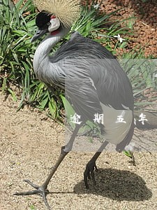 逾期五年两千还多少钱