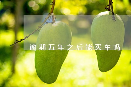 逾期五年之后能买车吗 逾期五年之后能买车吗