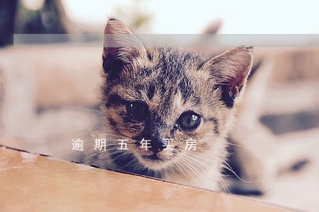 逾期五年买房 逾期五年买房