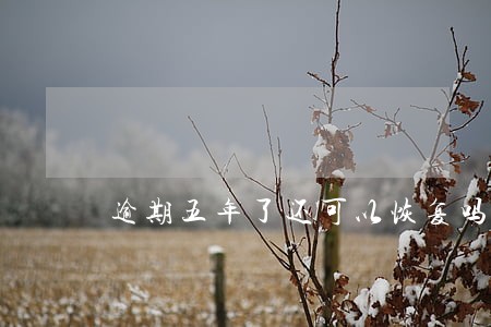 逾期五年了还可以恢复吗 逾期五年了还可以恢复吗