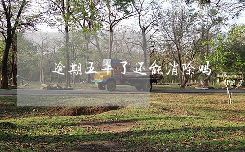 逾期五年了还能消除吗 逾期五年了还能消除吗