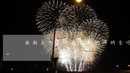 逾期五年了还需要缴纳滞纳金吗