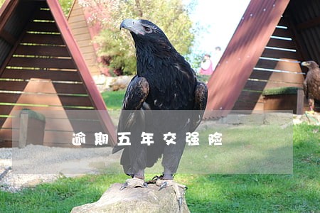 逾期五年交强险