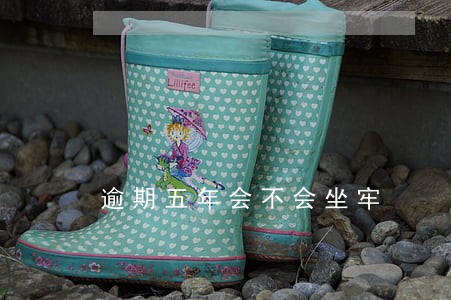 逾期五年会不会坐牢 逾期五年会不会坐牢
