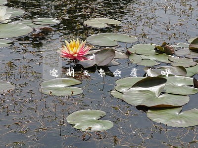 逾期五年会覆盖吗 逾期五年会覆盖吗